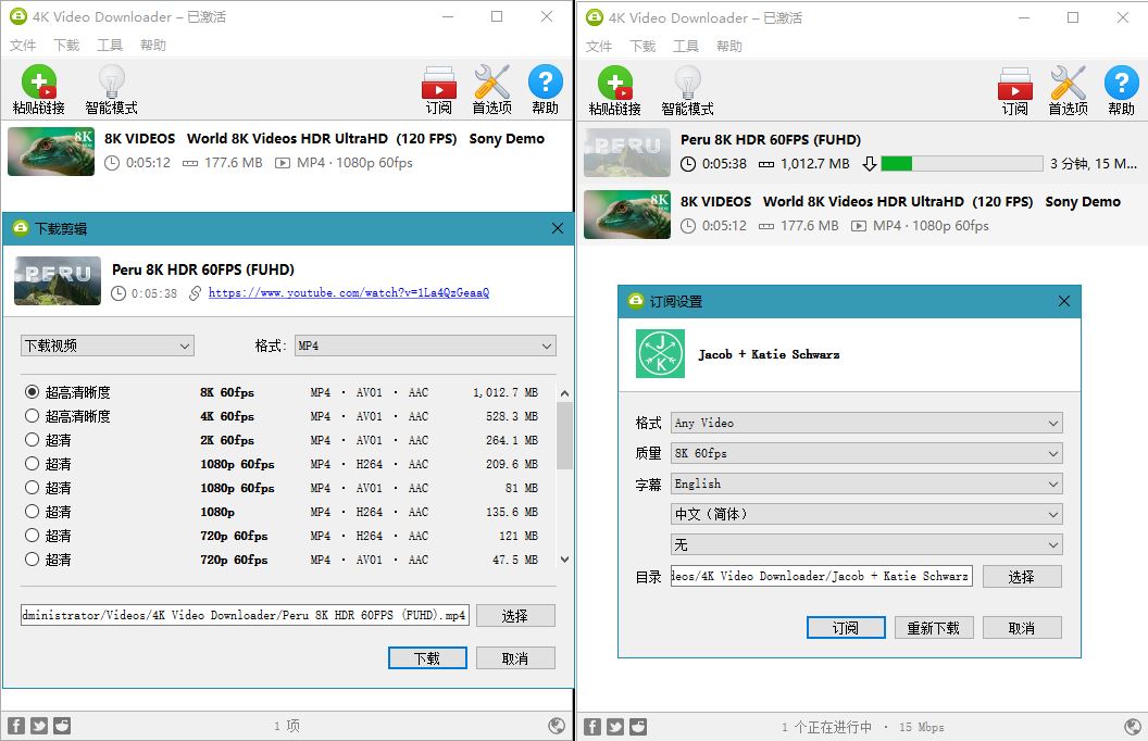 4K Video Downloader v4.33.2.0164-趣奇资源网-第6张图片